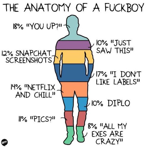 FB anatomy